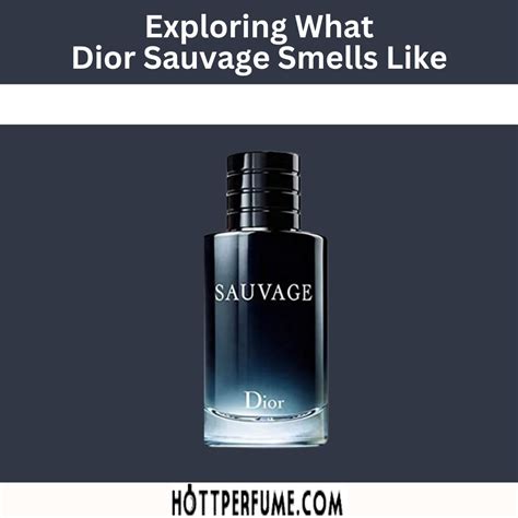 if you like dior sauvage you will like|which sauvage smells the best.